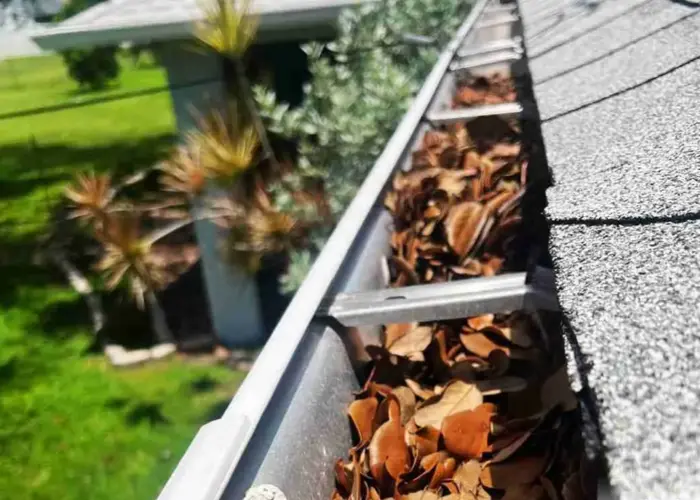 Oak Brook gutter cleaning home page